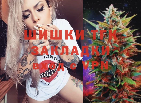 МДПВ Алексин