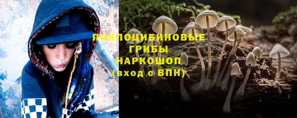 МДПВ Алексин