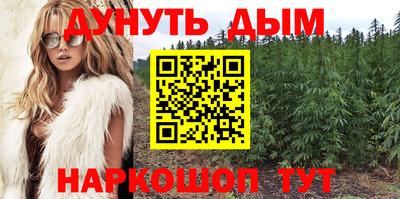 СК Канаш