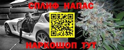 СК Канаш
