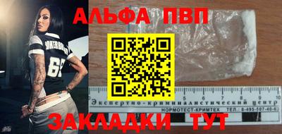 ECSTASY Камышлов