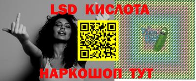 гидра Кандалакша