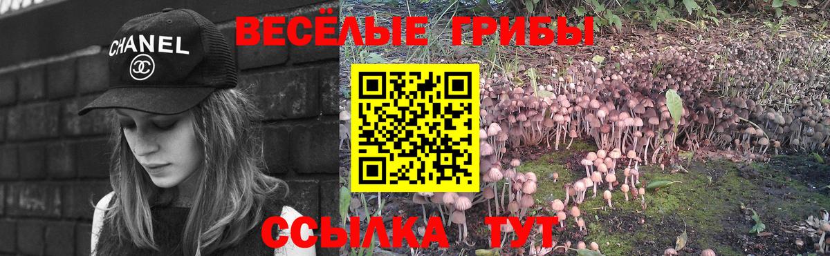 Галлюциногенные грибы GOLDEN TEACHER  Вход с VPN  Чайковский 