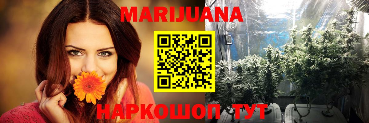МАРИХУАНА OG Kush Чайковский